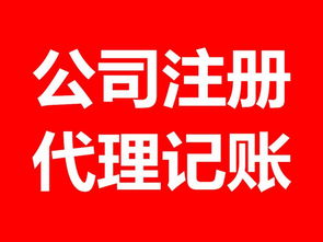 發(fā)票與稅務(wù)代理服務(wù) 企業(yè)合規(guī)經(jīng)營(yíng)的得力助手